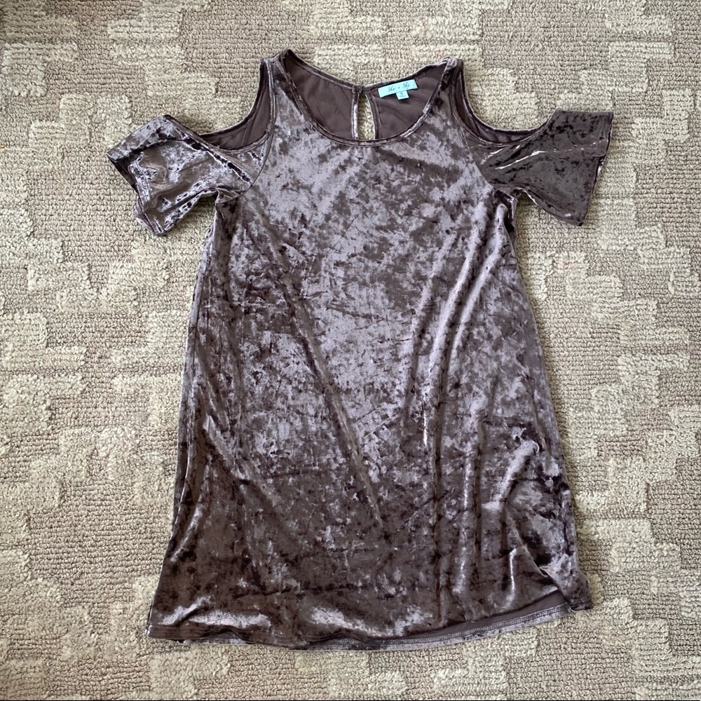 Velvet Dress